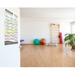 Training poster - "Vinyl dumbbells" (25 workouts)