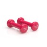                                                                                                                                                                            Gymnastics dumbbell set (8 pieces) 10 kg - with case