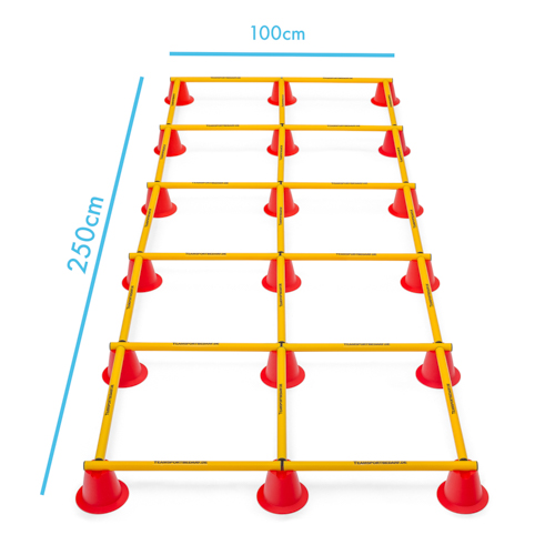 Coordination ladder (46 pieces) - incl. bag