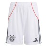  Adidas FC Bayern 25/26 Away