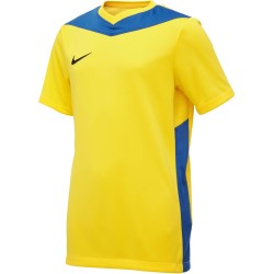 Nike Park Derby IV Dri-FIT Kids