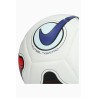 Nike Futsal Maestro 100