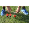 Tool for T-PRO ground markers