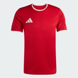 ADIDAS ENTRADA 26 TEAM JUNIOR 523