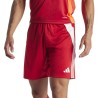 adidas Tiro 24 Training 379