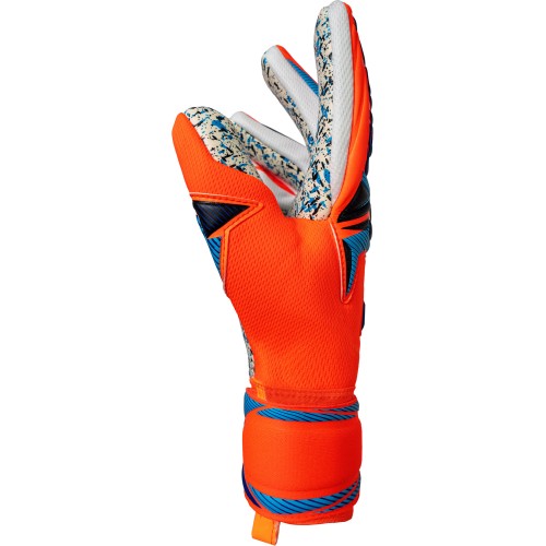 Attrakt Fusion NC 2290