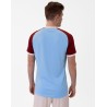 JAKO Jersey Iconic short sleeve 457
