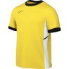 NIKE ACADEMY 25 TOP 719