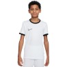 NIKE ACADEMY 25 TOP JR 100