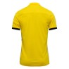 Nike Dri-FIT Academy 25 Polo JR 719