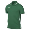 Nike Dri-FIT Park 26 Polo 302