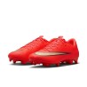 Nike Zoom Mercurial Vapor 17 Academy FG/MG