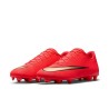 Nike Zoom Mercurial Vapor 17 Club FG/MG