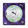 Puma Orbita Ultimate Thrill Premier League