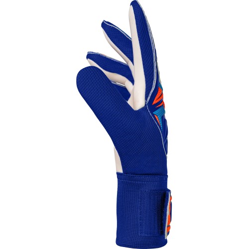 Reusch Attrakt Starter Solid