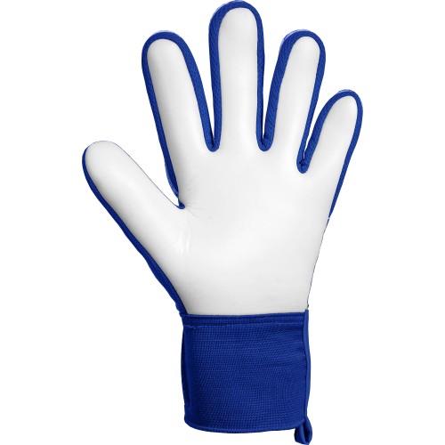 Reusch Attrakt Starter Solid