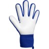 Reusch Attrakt Starter Solid